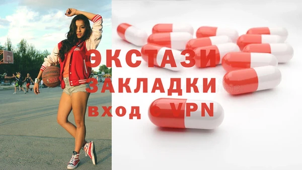 индика Краснотурьинск