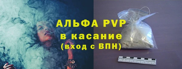 индика Краснотурьинск