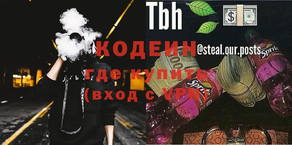 индика Краснотурьинск