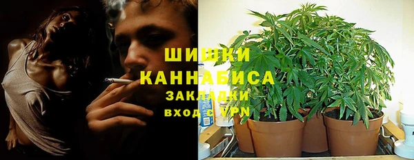 индика Краснотурьинск