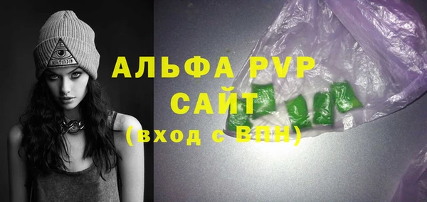 индика Краснотурьинск