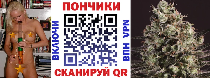Бошки марихуана конопля Боровичи
